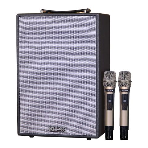 Loa Xách Tay Acnos CS286 Plus