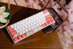  Bàn phím cơ NEWMEN GM610 CHERRY RỒNG HỔ DUAL MODE Brown Switch 