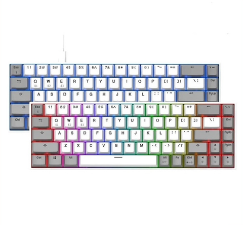 Bàn phím cơ FL ESPORTS F12 WHITE AND GREY KAILH BOX Brown Switch