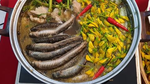 Cách làm lẩu mắm cá kèo đặc sản miền Tây hấp dẫn thơm ngon