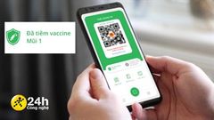  PC Covid chưa cập nhật mũi tiêm phải làm sao? Xem ngay bài viết để biết cách khắc phục tình trạng này hiệu quả 