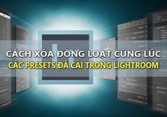  Cách xóa preset trong lightroom cực nhanh chóng và đơn giản 