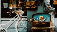  Hướng dẫn cách blend màu Vintage trong Lightroom cực chi tiết 