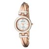 Đồng hồ Nữ Anne Klein AK/2622WTRG