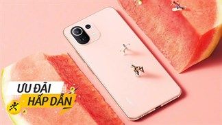 Sale đậm trong dịp 12/12 kèm ưu đãi giảm thêm khi thanh toán qua Moca, giá Xiaomi 11 Lite 5G NE hiện nay bao nhiêu?