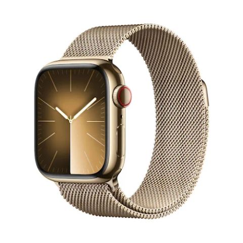 Apple Watch Series 9 GPS 4G 41mm