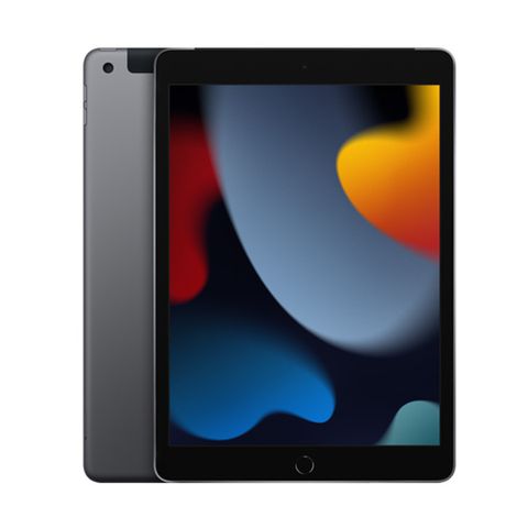 Apple Ipad Gen 9 10.2 Inch 2021 Wifi+cellular 256gb-space Gray