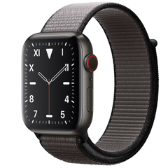  Apple Watch Series 5 (Titanium) Grey/Loop Gray 40Mm 