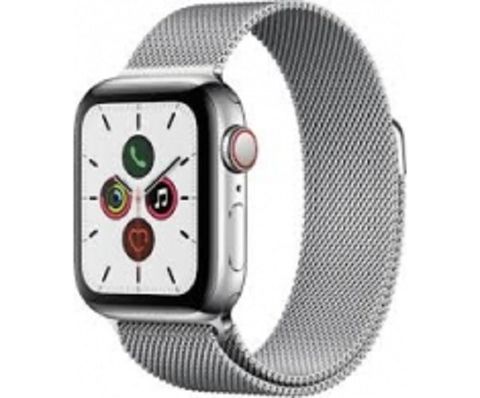 Apple Watch Series 5 (titanium) Silver/loop Camel 40mm