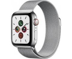  Apple Watch Series 5 (titanium) Silver/loop Camel 40mm 