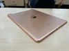 iPad 8 Wifi Cellular 32GB Gold (MYMK2ZA/A)