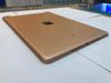 iPad 8 Wifi Cellular 32GB Gold (MYMK2ZA/A)