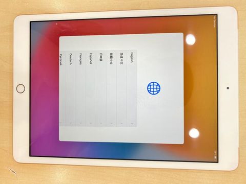 iPad 8 Wifi Cellular 32GB Gold