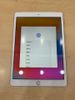 iPad 8 Wifi Cellular 32GB Gold (MYMK2ZA/A)