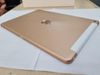 iPad 8 Wifi Cellular 32GB Gold (MYMK2ZA/A)