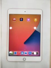  Máy tính bảng iPad mini 7.9 inch Wifi Cellular 64GB (2019) 