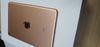 iPad Mini new Wifi Cellular 64GB (MUX72ZA/A) Gold