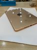 iPad Mini new Wifi Cellular 64GB (MUX72ZA/A) Gold