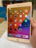 iPad Mini new Wifi Cellular 64GB (MUX72ZA/A) Gold