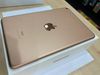 iPad Mini new Wifi Cellular 64GB (MUX72ZA/A) Gold