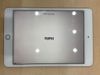iPad Mini new Wifi Cellular 64GB (MUX72ZA/A) Gold
