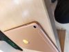 iPad Mini new Wifi Cellular 64GB (MUX72ZA/A) Gold