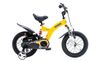 Xe đạp trẻ em Fornix Warrior 20 inch