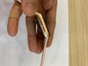 Apple Watch S6 GPS + Cellular, 40mm Gold Aluminium Case with Pink Sand Sport Band - Regular