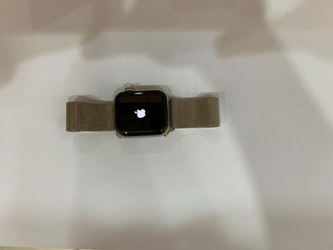 Apple Watch S6 GPS + Cellular, 40mm Gold Stainless Steel Case with Gold Milanese Loop (M06W3VN/A)