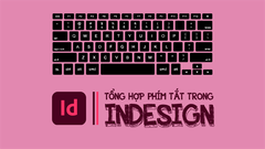  Tổng hợp phím tắt trong Indesign giúp thiết kế in ấn nhanh chóng, thuận tiện 
