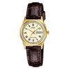 Đồng hồ Nam Casio W-213-2AVDF