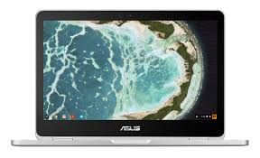 Asus Chromebook C302Ca-Gu041