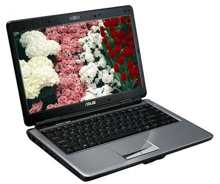 Asus F83T