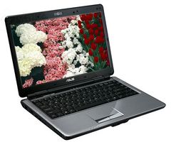  Asus F83T 