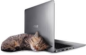 Asus Vivobook E403Na-Fa106T