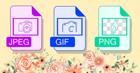 File, Folder là gì? Cách đặt tên tệp, tổ chức thư mục hiệu quả nhất