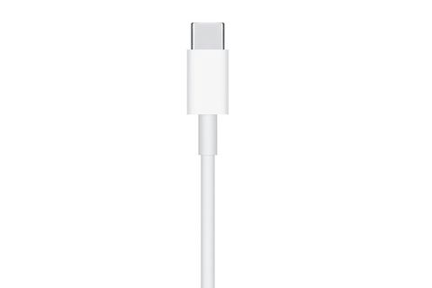 Adapter sạc Apple Watch Magnetic Type C 30cm Apple MU9K2 Trắng
