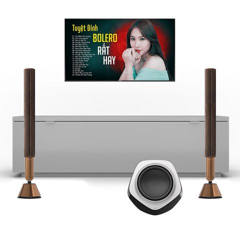 Dàn Nghe Nhạc Hi-End Không Dây B&O HE08