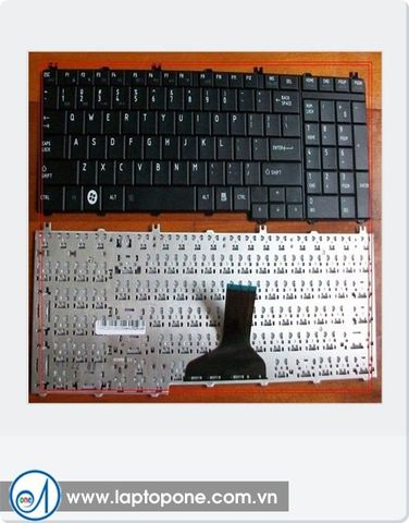 Thay vỏ laptop DELL XPS 11 9P33