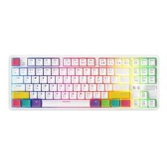  Bàn Phím Cơ Ajazz K870t Hotswap (rgb Bluetooth/usb) 