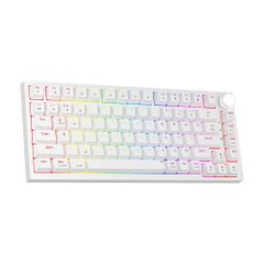  Bàn phím cơ NEWMEN GM326 White Brown switch 
