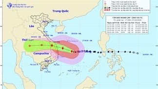 Cách cập nhật nhanh diễn biến bão số 12 bằng điện thoại mà mọi người nên biết