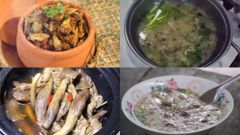  Nấm mối nấu gì ngon? Tổng hợp 10 cách chế biến nấm mối thơm ngon hấp dẫn 