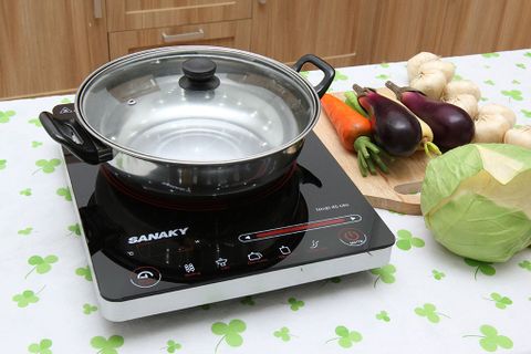 Bếp hồng ngoại Sanaky SNK2102HG