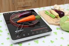  Bếp hồng ngoại Sanaky SNK2102HG 