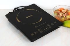  Bếp điện từ Gree GCWK-2172a 