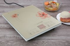  Bếp điện từ Kangaroo KG418i 