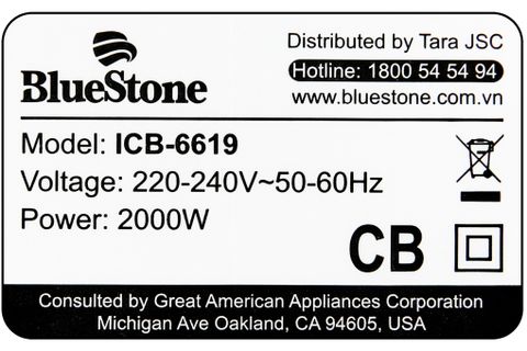 Bếp từ BlueStone ICB-6619