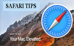  Cách hiển thị biểu tượng trang web trên Safari Macbook 