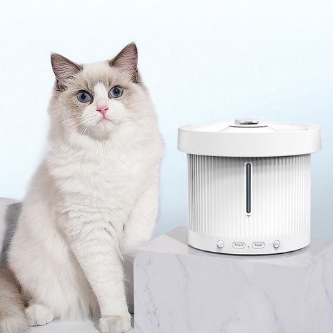 Xiaomi Giới Thiệu Máy Lọc Nước Cho Thú Cưng Uah